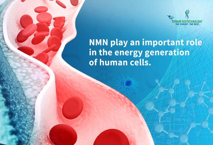 BETA-NICOTINAMIDE MONONUCLEOTIDE(NMN)