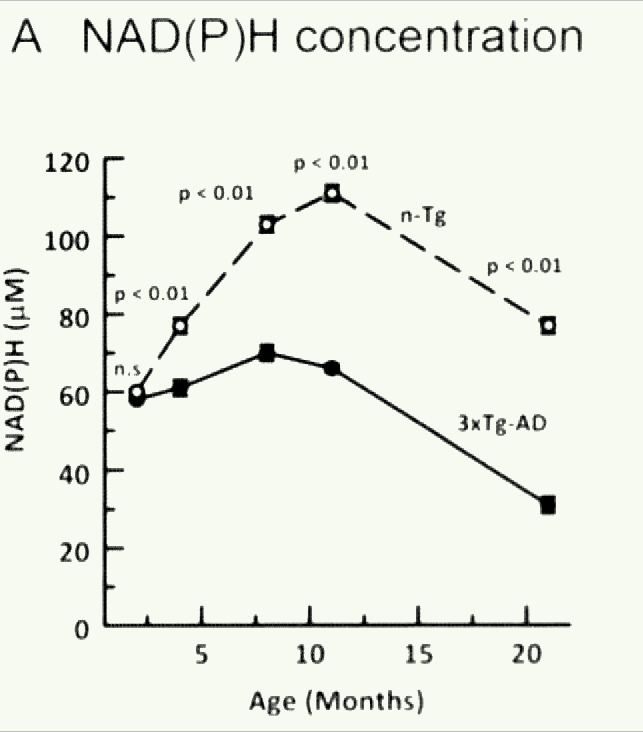 Nicotinamide Adenine Dinucleotide