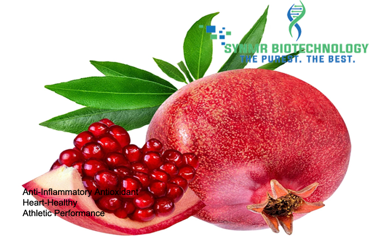 SynPome(Pomegranate Seed Extract)™